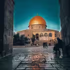 Palestin27027 Telegram Logo