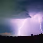 Lightningrisk Telegram Logo