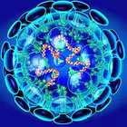 nCoV2019 Telegram Logo