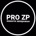 pro_zp_2023 Telegram Logo