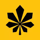 Telegram @place_kyivChannel Image