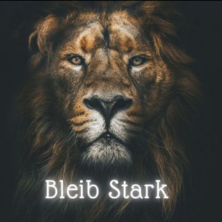 Telegram @bleibtstarkChannel Image