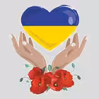 Telegram @amina_alarm_botChannel Image