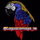 laguacamaya_ve Telegram Logo