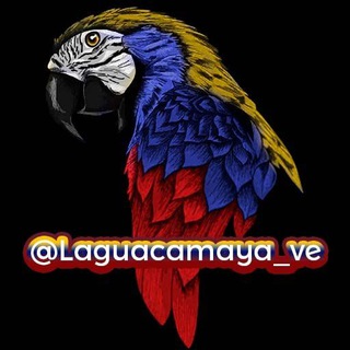 Telegram @laguacamaya_veChannel Image