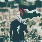 Akhbar_pal Telegram Logo