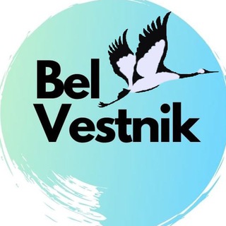 Telegram @belvestnikChannel Image