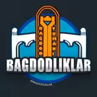 bagdod Telegram Logo