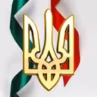 ubn_ukraine Telegram Logo