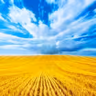 peremoga_online Telegram Logo