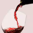 eingeSCHENKTv Telegram Logo