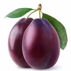 grodnosliv Telegram Logo