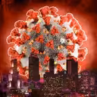 corlive Telegram Logo