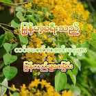 Mgmaung969 Telegram Logo