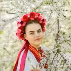 Telegram @Ukrainia209Channel Image