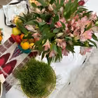 uzbbenelux Telegram Logo