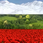 covid19bulgaria Telegram Logo