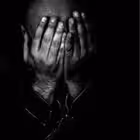 searchforloved Telegram Logo