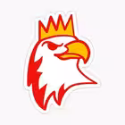 ChatPoland Telegram Logo