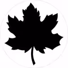 canadapa Telegram Logo