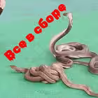 thailand_chat_D Telegram Logo