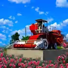 novayazburyevka Telegram Logo