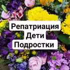 eladimru Telegram Logo