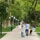 zashitim_nash_park Telegram Logo