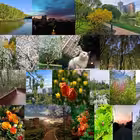 Trop_Nik Telegram Logo