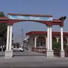 yangitoshkent Telegram Logo