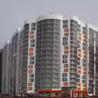 beregovaya25 Telegram Logo