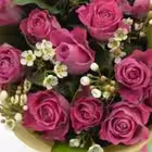 selo_0909 Telegram Logo