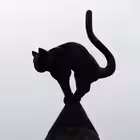 RigaRusChat Telegram Logo