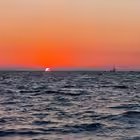 news_of_sochi_and_the_worldgroup Telegram Logo