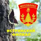 istrinskoelesnichestvo Telegram Logo