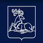 odin_chat Telegram Logo