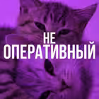 Telegram @shokavo_Od_chatGroup Image