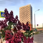 SalPark19 Telegram Logo