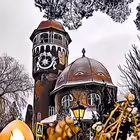 svetlogorsk Telegram Logo