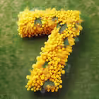 LSP_7K Telegram Logo