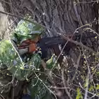 Telegram @AirsoftChatGroup Image