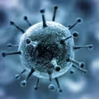 mlcrown Telegram Logo