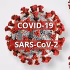 USCorona Telegram Logo