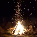 D_conversation Telegram Logo