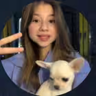 bloggers_communication Telegram Logo