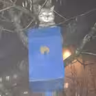 mistoteplodar Telegram Logo