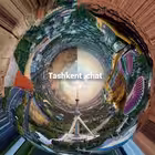 Tashkentcha Telegram Logo