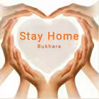 StayHomeBukhara Telegram Logo
