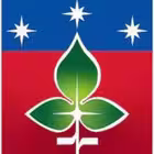 PushinoRU Telegram Logo