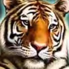 nonofficial_chat Telegram Logo